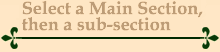 Select a Main section, then a sub-section